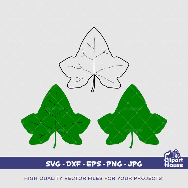 Ivy Leaf, ivy leaf, leaf svg, nature svg, flowers, plants svg, tree svg, field svg, tree svg,